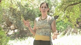 Psychetruth | ACHNET