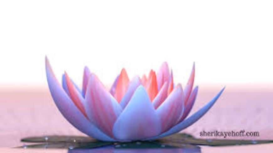 Sheri Kaye Hoff | ACHNET