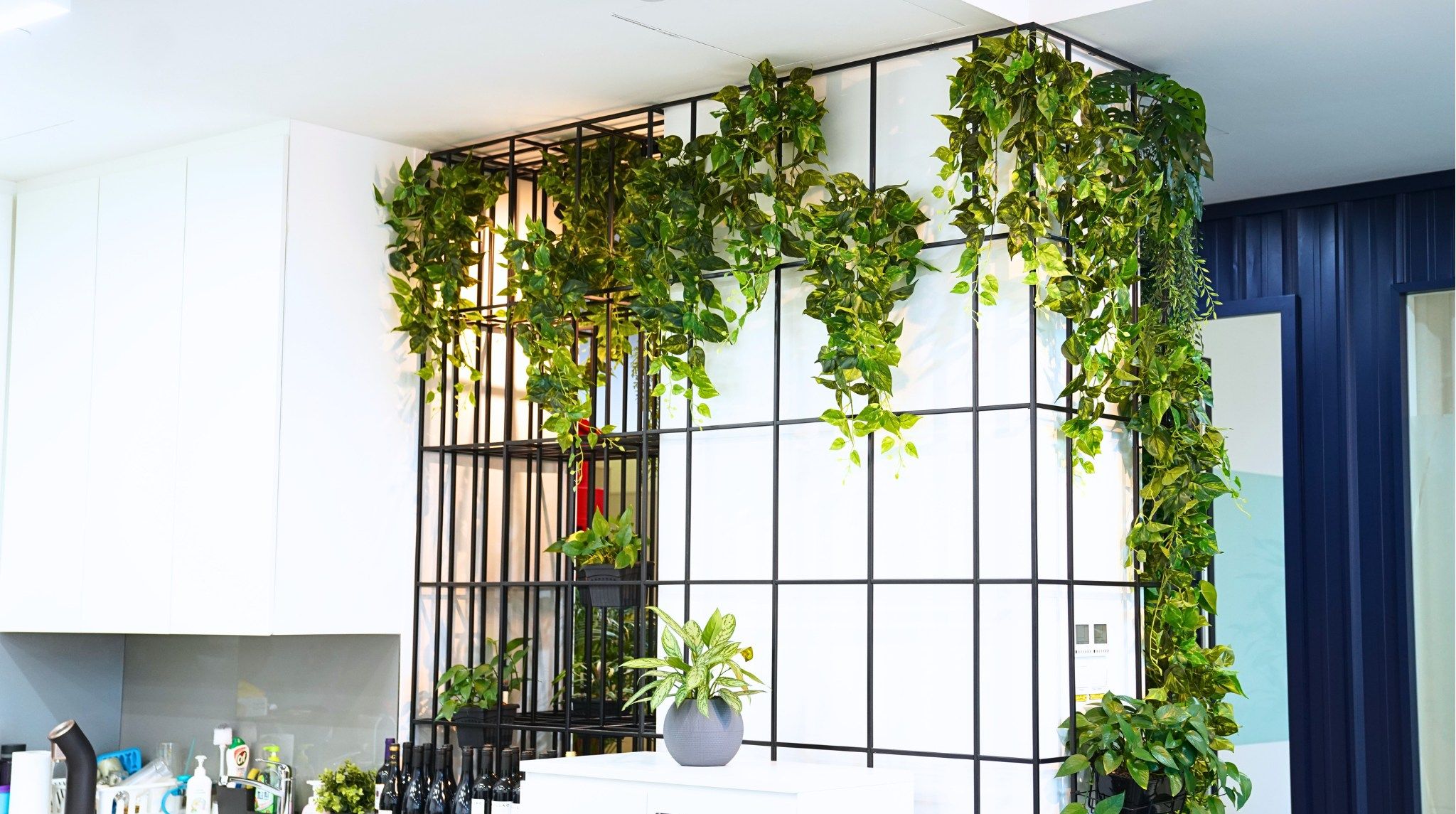 Princes Landscape Pte Ltd Cover