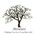 Shiwani Gurwara Certified Empowerment Coach Logo