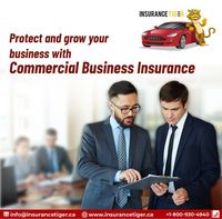 Insurance Tiger