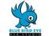 BLUE BIRD EYE VFX STUDIO