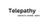 Telepathy Leading Software development company Logo